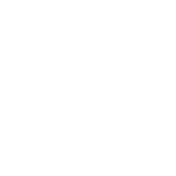 An icon of the Apple logo
