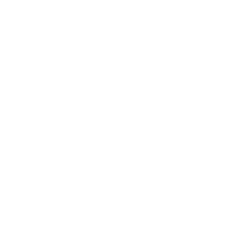 An icon of an unlocked padlock